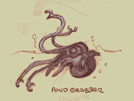 Файл:Pond grabber preview.png