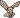 Barn owl sprite.png